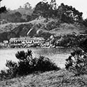 Pt. Lobos Canning Co.